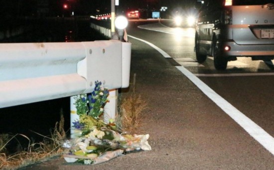 日本警方：宝可梦GO上线一月致千起案件 