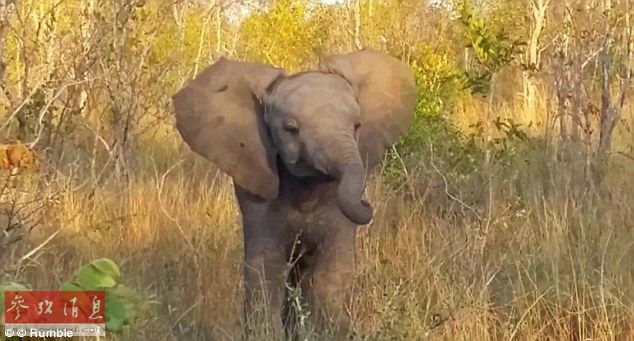 kjcq20160831001-1aaaa