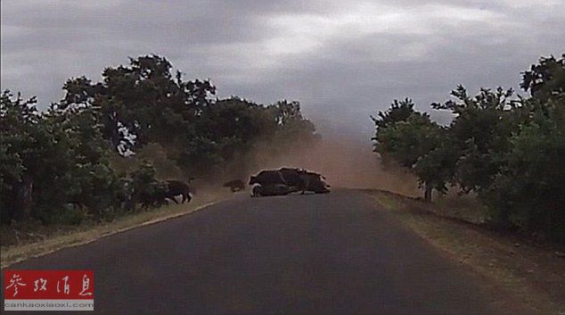 kjcq20160831001-1aaaaaaa