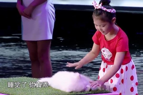 王力宏加盟《挑战不可能》 夫人陪伴录制-千龙