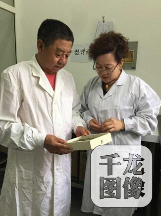 王会明与师傅一起评茶。（资料图片）