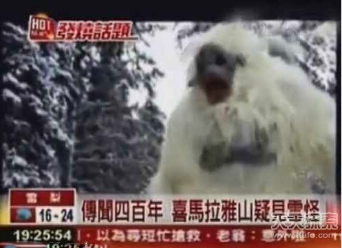 世界古怪生物：蝾螈似龙 存活100多年