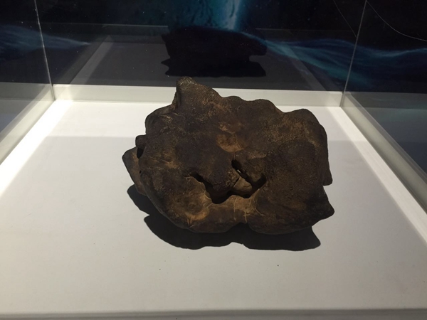 “天外来客”世界陨石精品展首亮相