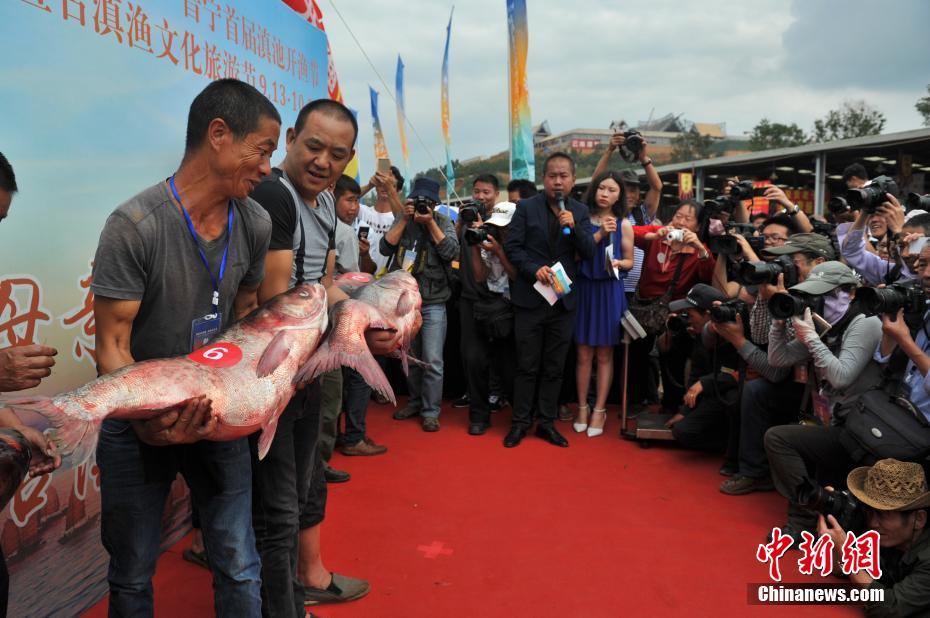 昆明滇池开湖捕鱼首日上演“鱼王竞拍”