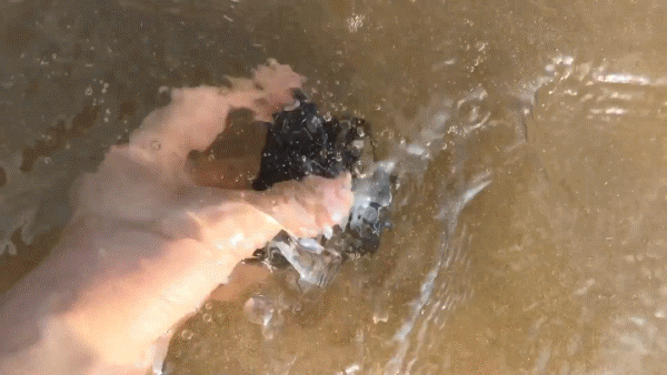 最全能GoPro支架登场 提供18种可变拍摄角度