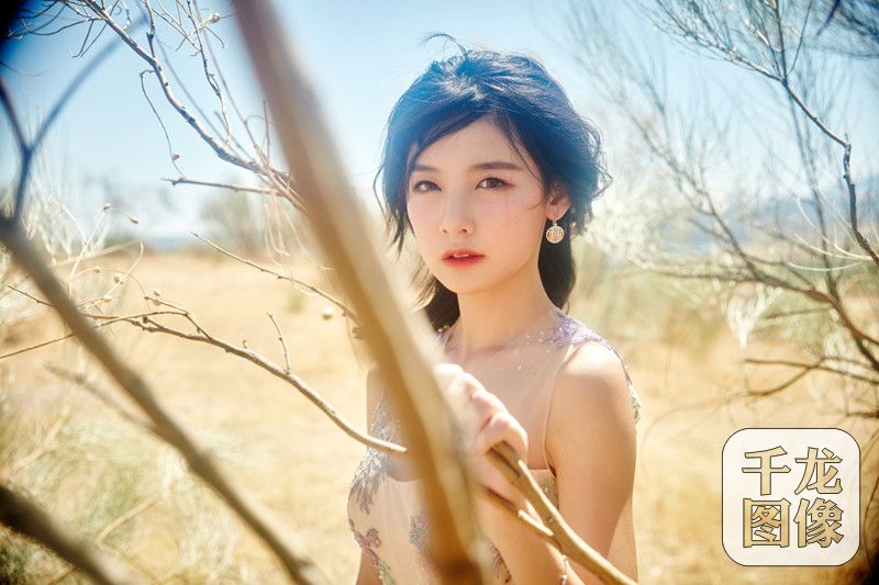 赵粤