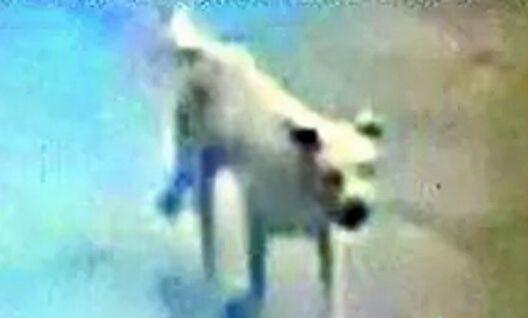 QQ截图20160923162813