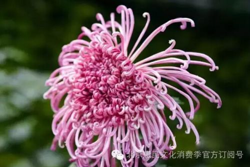 wwzjy20160926048