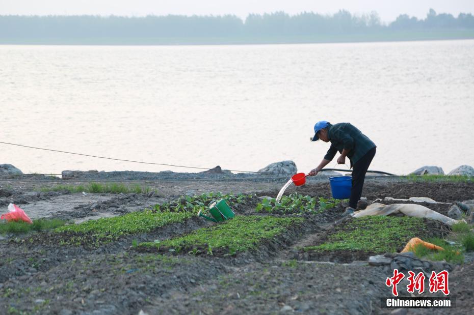 鄱阳湖水位骤降 裸露岸堤变身“开心农场”
