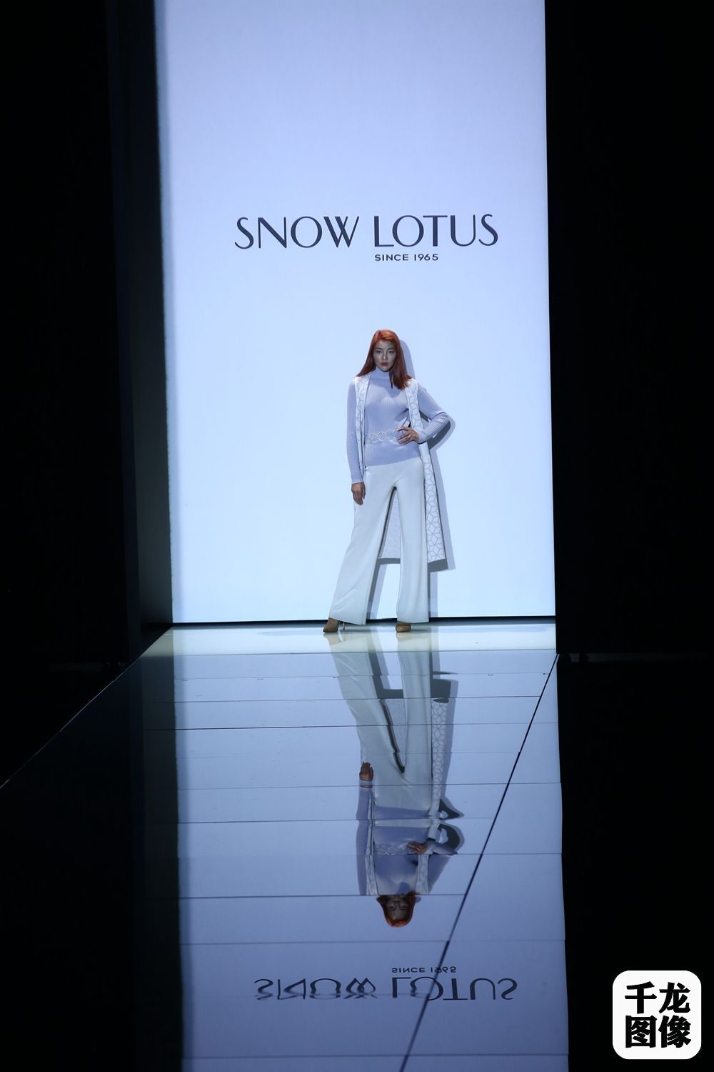 雪莲6