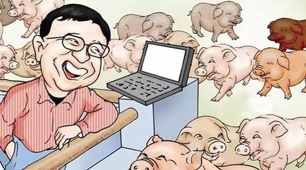 网易丁磊：2万头“丁家猪”即将上市
