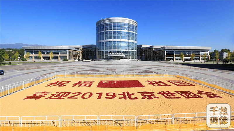 A corn and pepper work to bless motherland di