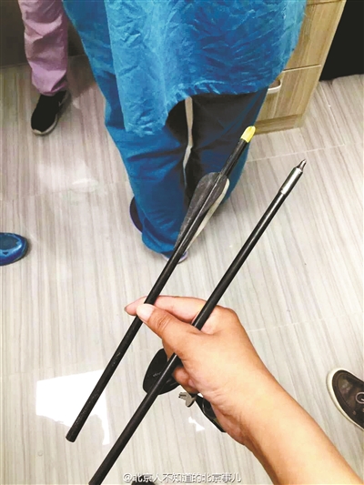 小狗接受手术后从头部取出的弓箭