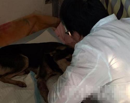 虐狗者铁棍打瞎小狗 狗获救时喝水染红水碗