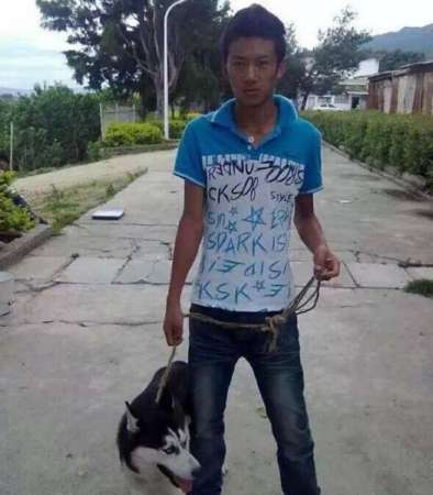 几名少年将狗吊到一棵树上虐杀致死