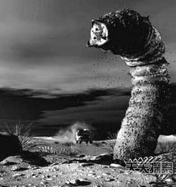 蒙古神秘死亡之虫：通体红色碰之毙命