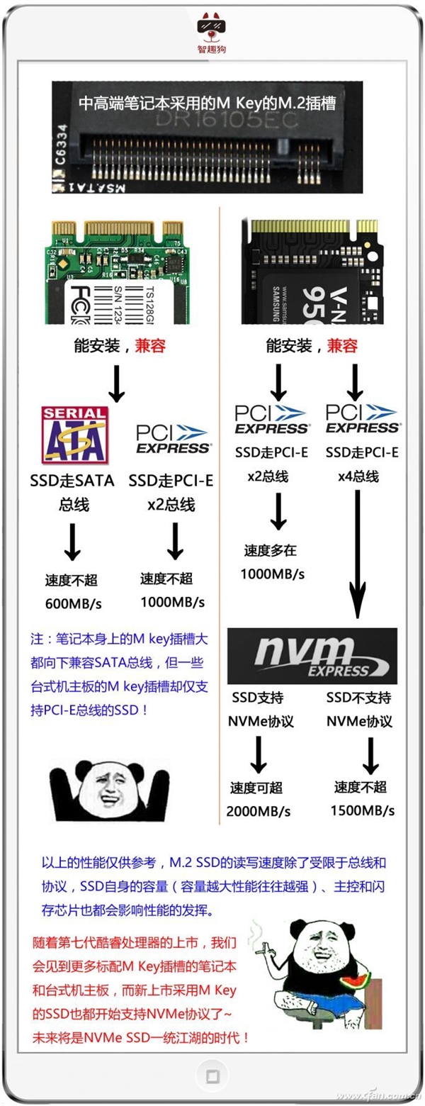 SSD接口到底有哪些？终于明白了