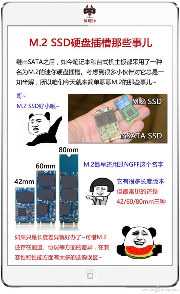 SSD接口到底有哪些？终于明白了