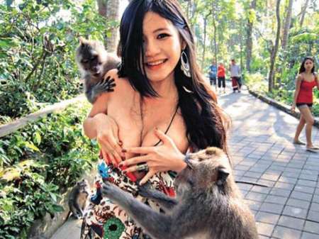 女大学生遭猴袭胸走光 捧胸照红遍全球