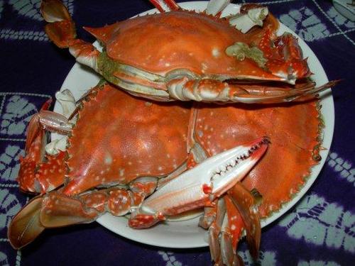 资料图