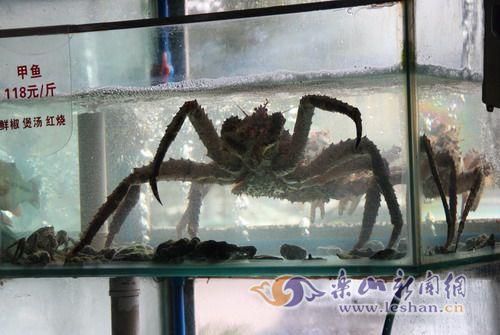 海鲜室展示的帝皇蟹