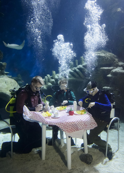英水族馆潜水员水下用餐被生物围观 