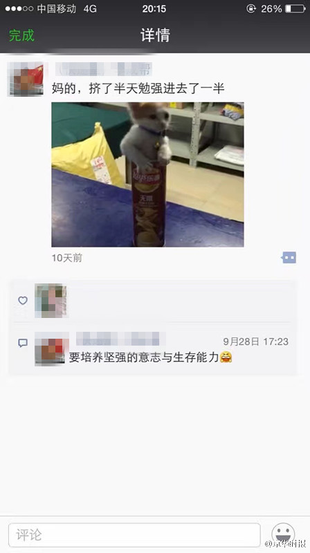 北京某学校工作人员疯狂虐猫 多只猫被“五花大绑”