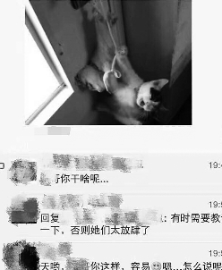 校工虐猫发朋友圈引不满 有学生想去领养被拒