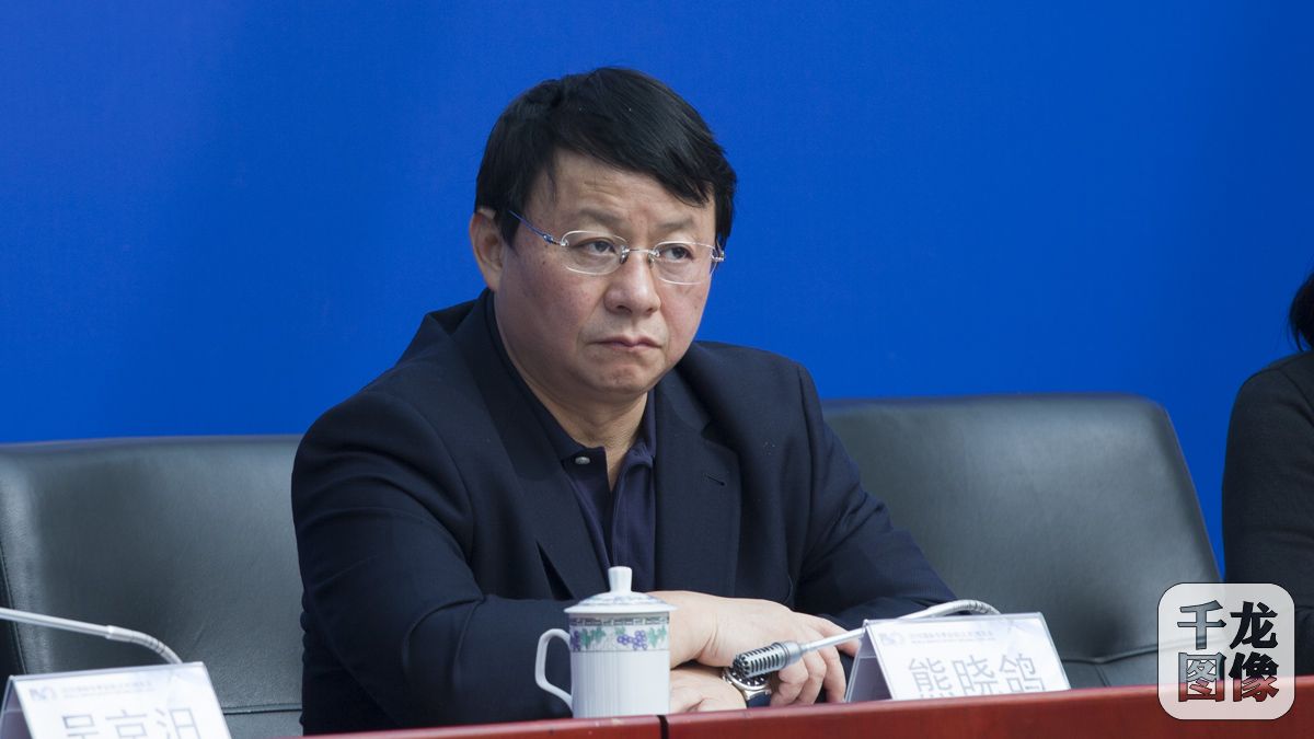 国际数据集团全球常务副总裁、国际数据集团资本创始合伙人熊晓鸽答记者问。