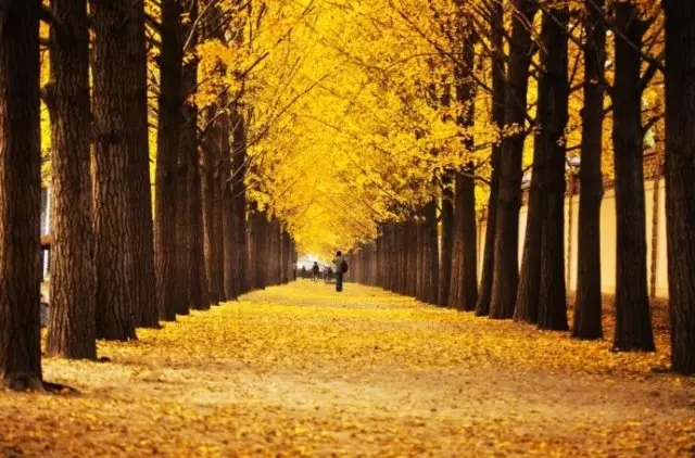 640.webp (3)