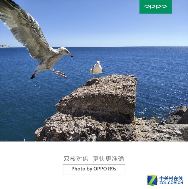 oppo配合 