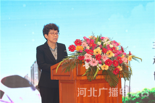 吕力