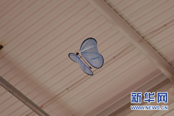 展区内，羽毛球机器人在与工作人员演示羽毛球比赛。（新华网 鲁聃玉文摄）