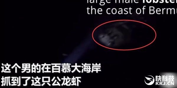 惊呆！男子钓上怪物级大龙虾：虾腿长度超1米