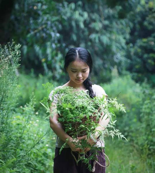 很多人都有一个梦想：等我们老了，就归隐山林吧，和心爱的人一起，把日子过成诗！这些或许根本不用等到“当我们老了”，一个90后小姑娘，现在已经做到了。在深山建了一个小屋，做起了隐居的花房姑娘。