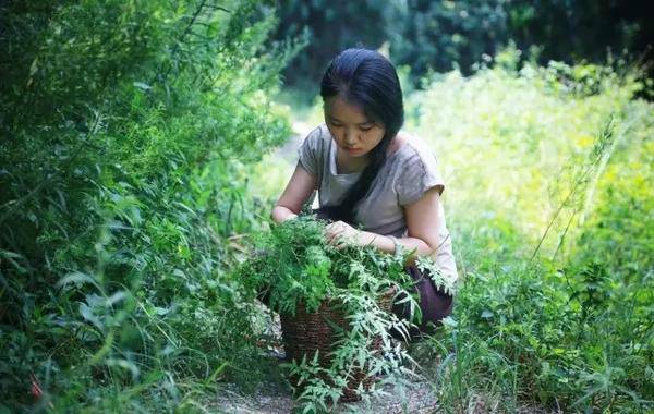 隐居山林后，茹萍的生活开始变得充实而规律，每天清晨，在虫鸣鸟叫声中醒来，去山间采撷喜欢的花花草草，然后回到小屋里开始手工DIY。