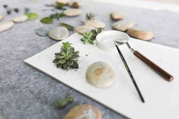 多肉和石头，再加上两笔工笔画，诗意盎然的情景清新无比。