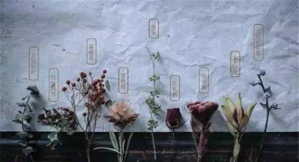 茹萍喜欢植物的一切，整天和植物待在一起，像是身体里潜藏的一种本能：“也许我上辈子就是来自森林吧！”每朵花都有自己的表情，每片叶子也有自己的情绪，茹萍仔细记下它们的样子。