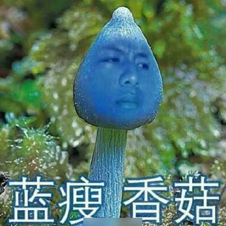 图片二.jpg