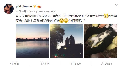图片三.png
