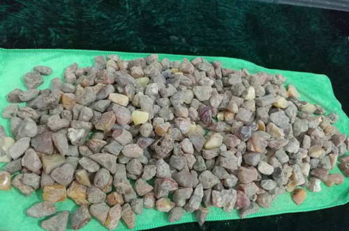 深圳海关摧毁特大走私网