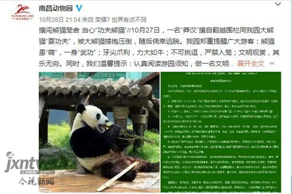 男子和大熊猫扭打 被“功夫熊猫”搂抱压倒后攀爬逃离