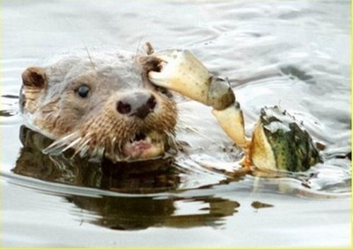 Image00003