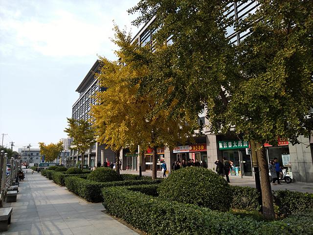 努比亚miniS评测：设计激进的小屏拍照手机