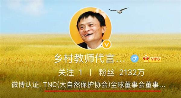 揭开阿里动物园之谜：为啥都用动物命名