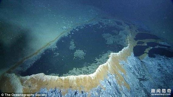 墨西哥惊现“死亡之池” 任何生物一旦进入就会丧命