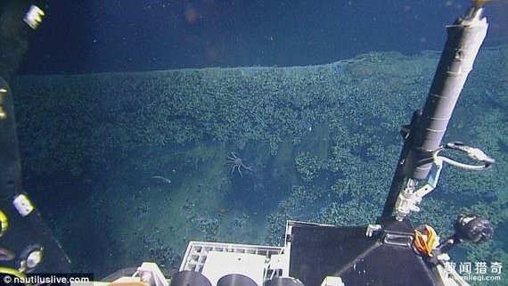 墨西哥惊现“死亡之池” 任何生物一旦进入就会丧命