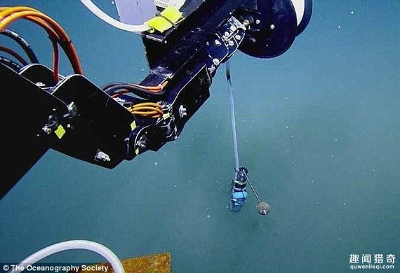 墨西哥惊现“死亡之池” 任何生物一旦进入就会丧命