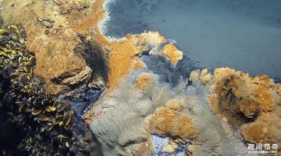 墨西哥惊现“死亡之池” 任何生物一旦进入就会丧命