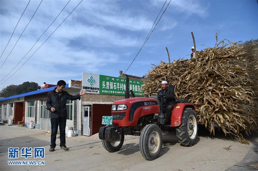 养牛人的千万致富经(组图)(5)-千龙网·中国首